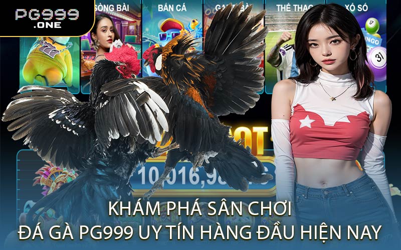 Khám Phá Sân Chơi Đá Gà PG999 Uy Tín Hàng Đầu Hiện Nay