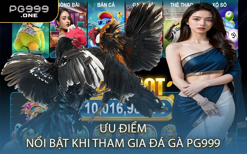 Ưu Điểm Nổi Bật Khi Tham Gia Đá Gà PG999