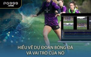 Hiểu Về Dự Đoán Bóng Đá Và Vai Trò Của Nó